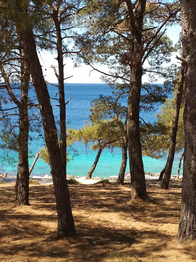 Vlasta Mali Lošinj Exterior foto